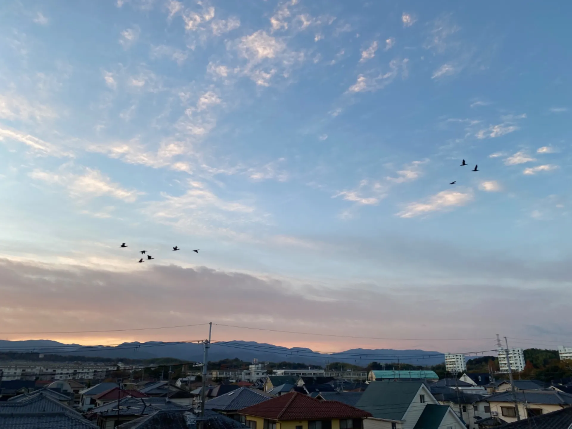 和泉市でヨガを活用し自律神経と五月病を整えるための新習慣ガイド