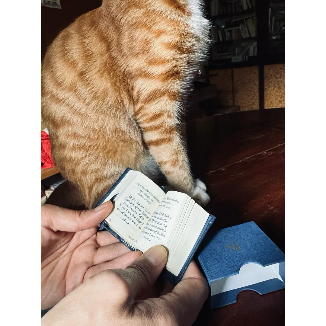 さすがインド、というのか、ヨギの家だからか、先生のおうちにこ...