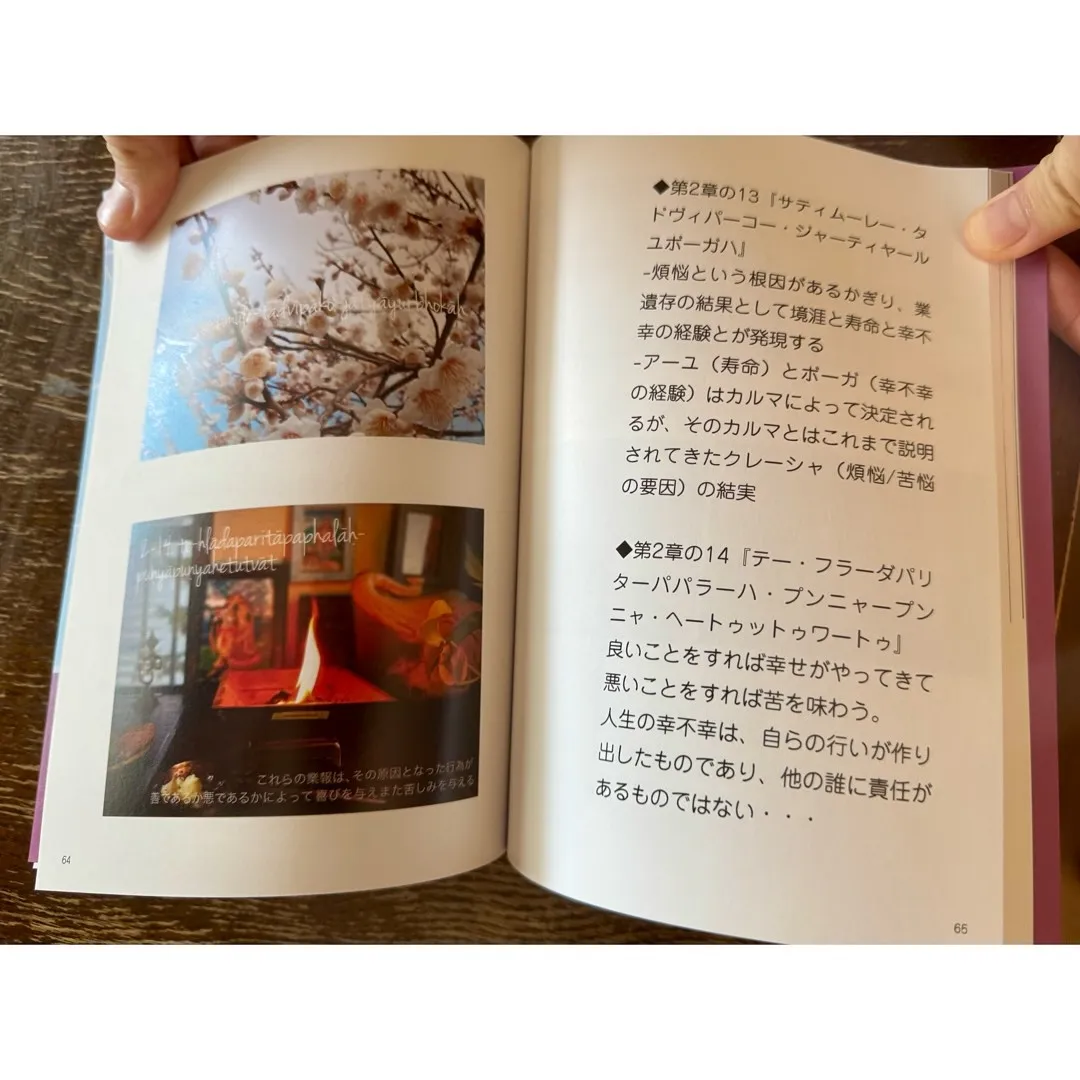 パタンジャリのヨーガ・スートラを読み解く【ヨガアドバンス】を...