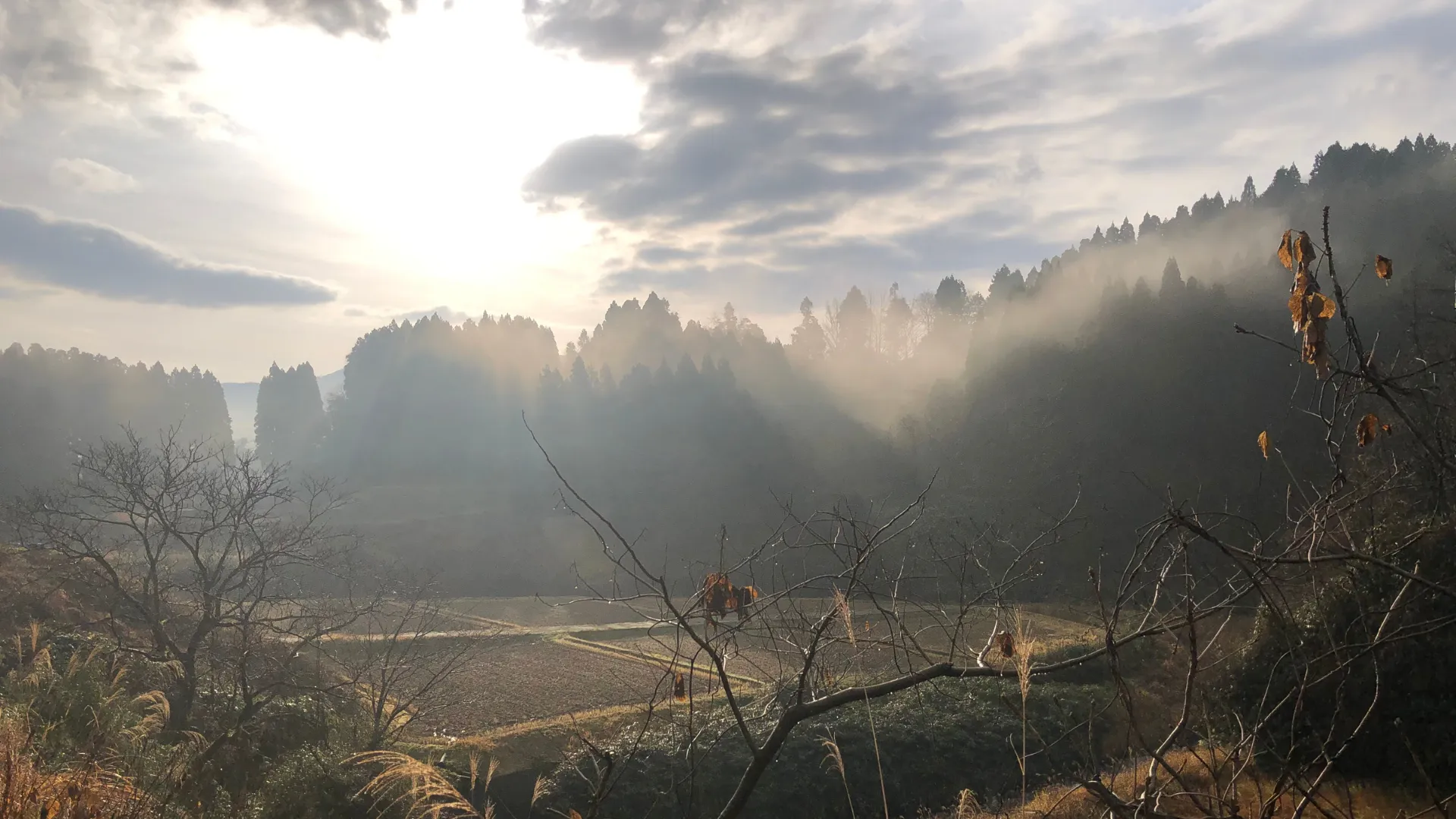 本格的インドヨガでトラディショナルヨガの魅力と健康を深く体験する方法