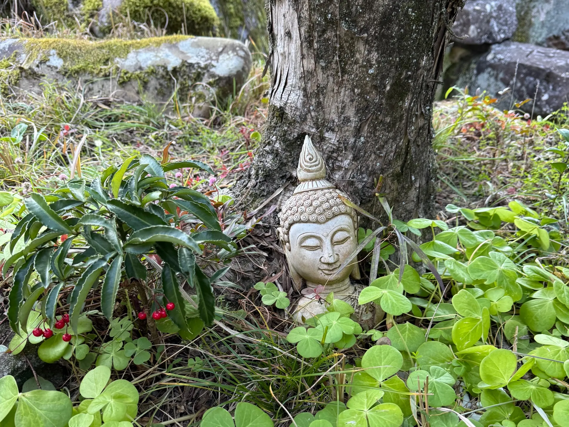 眠りの質を上げるヨーガの秘密