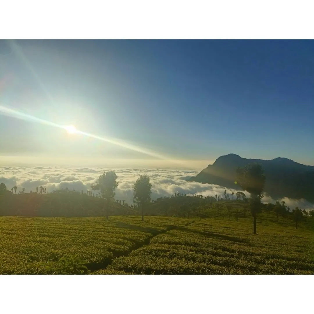 今日はトラディショナルヨガ研修生の皆さまが集まって、