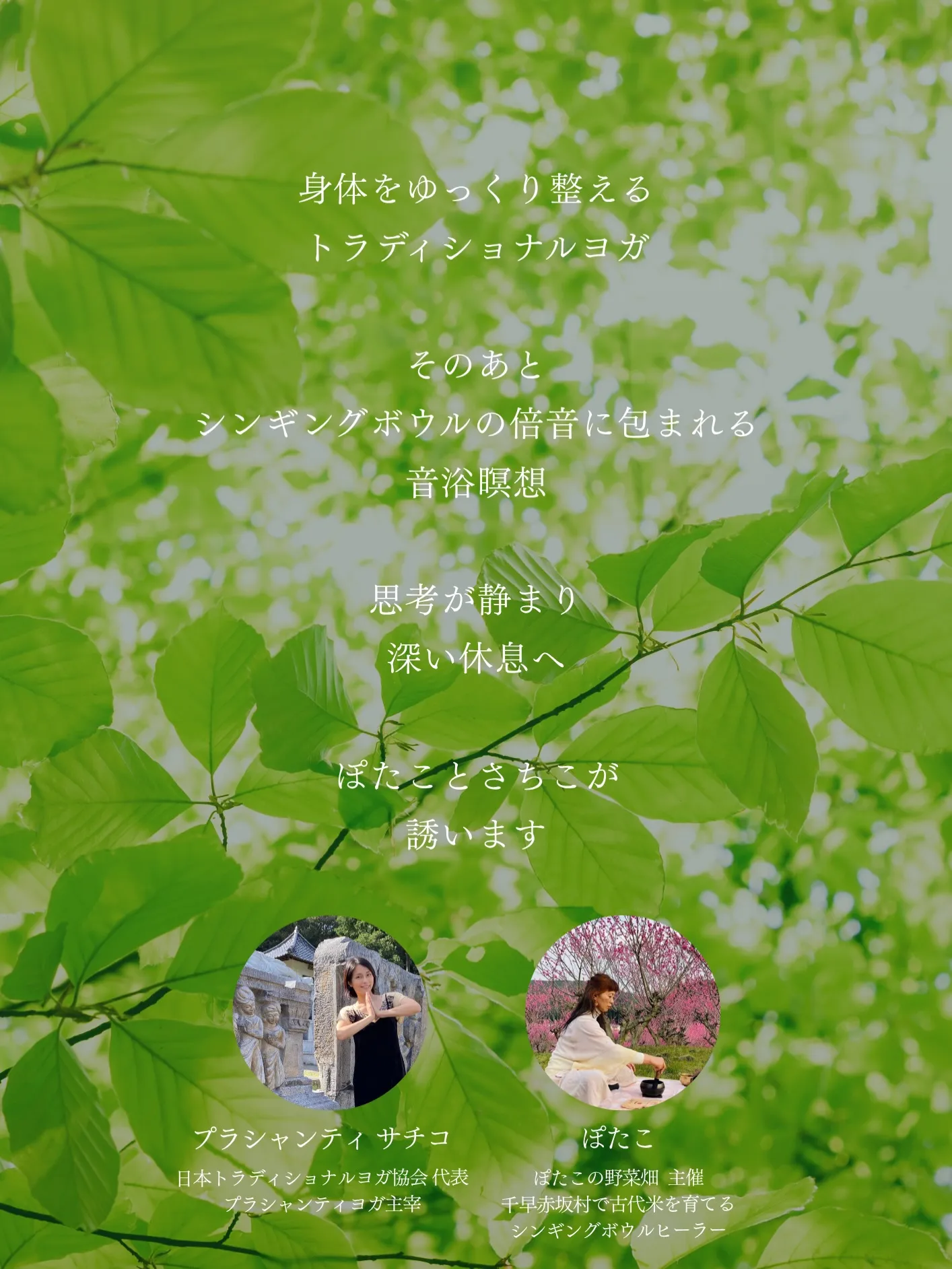 身体をほどき、音に沈む。