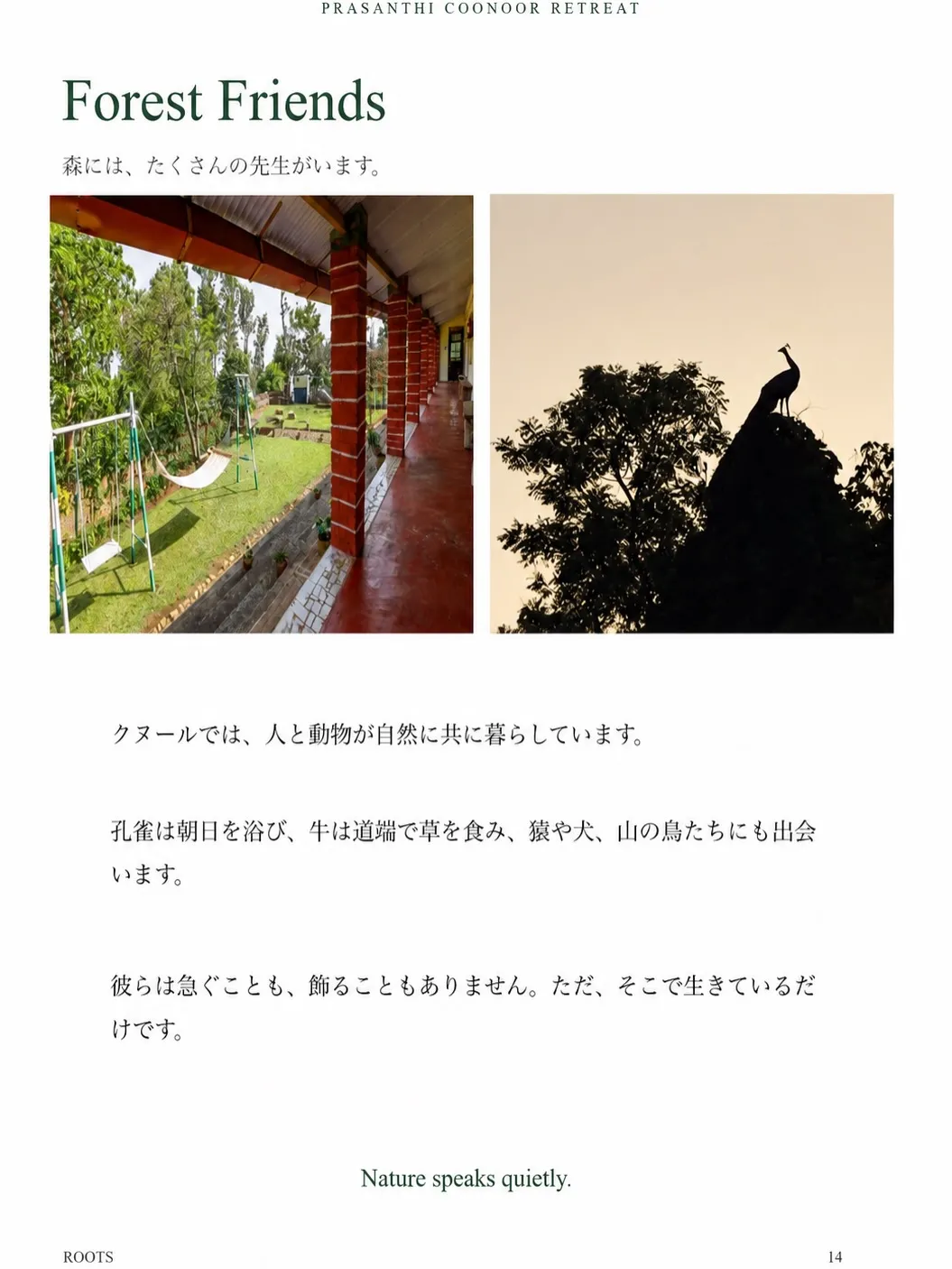 Coonoorリトリートの冊子ができました!