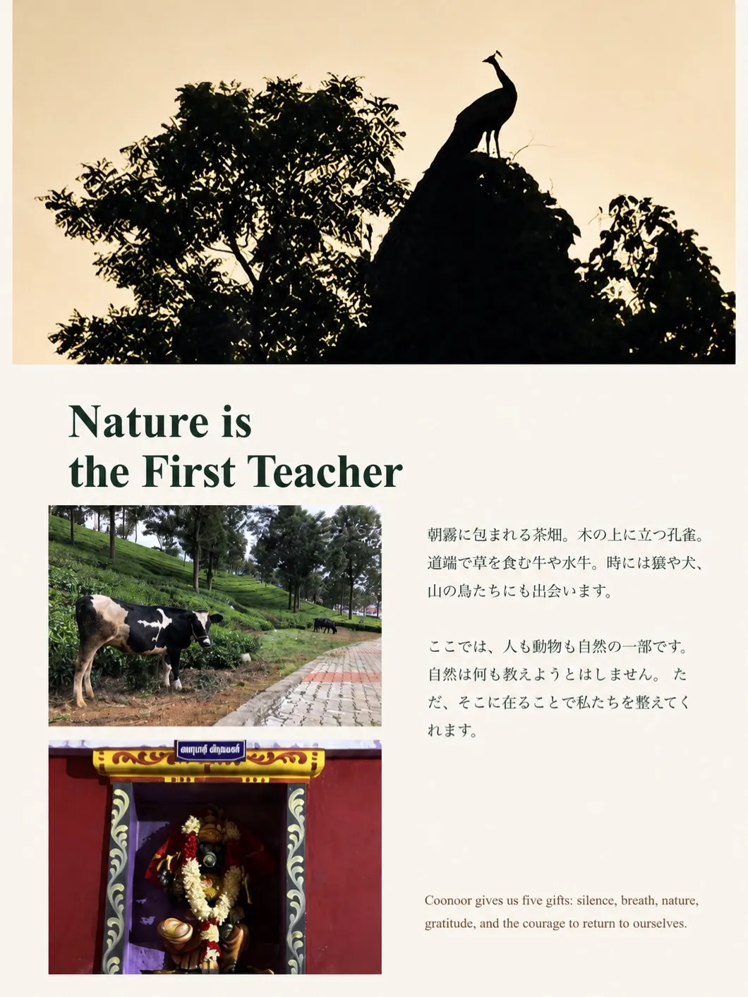 Coonoorリトリートの冊子ができました!