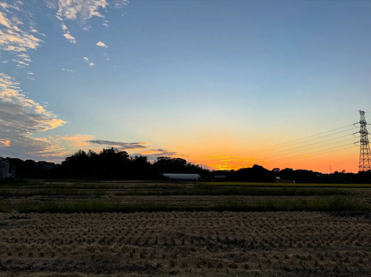 昨日までふさふさだった稲が、今日の夕方には刈り取られていまし...